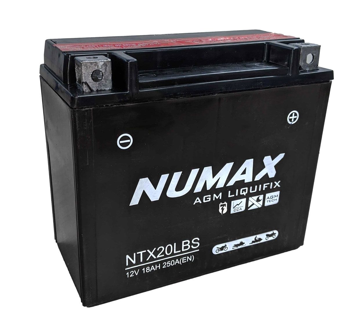 Small Engine Battery 200 Amp (YTX20LBS)