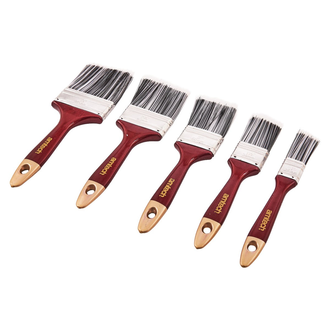 5pc paint brush set (S3905A)
