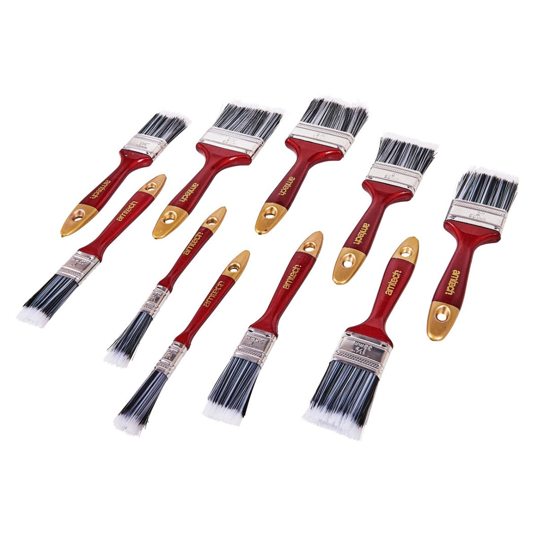 10pc paint brush set (S3940)