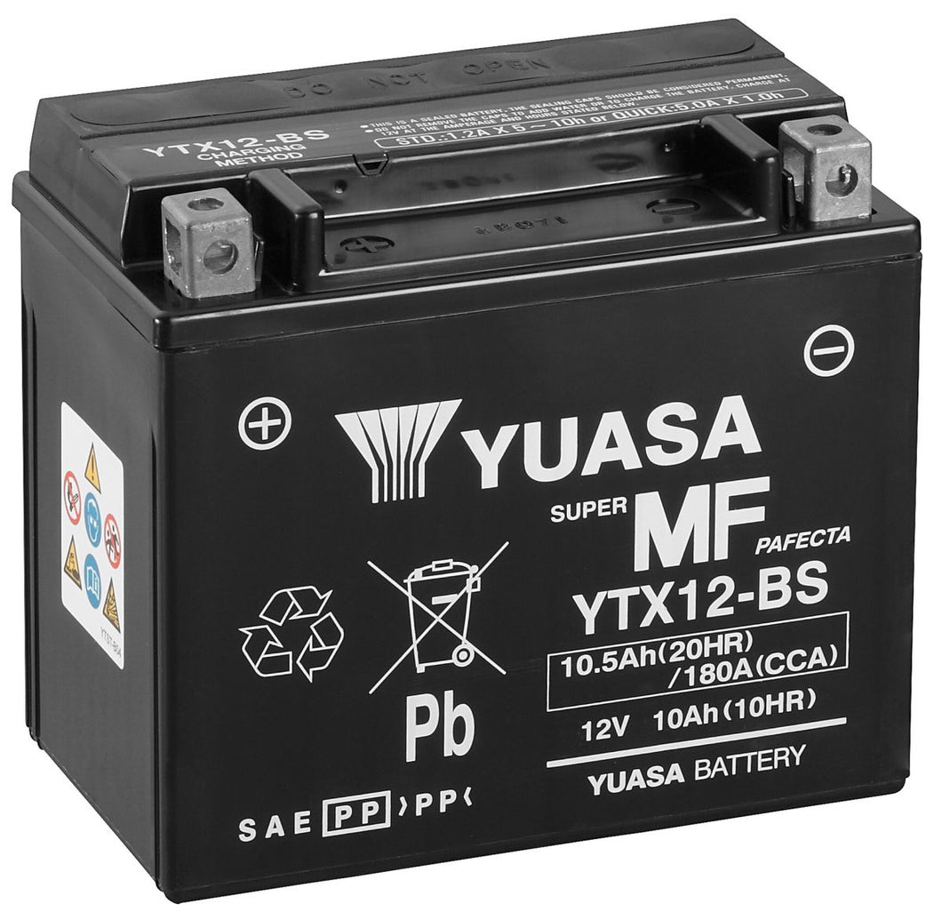 Small Engine Battery 100 Amp (YTX12BS)